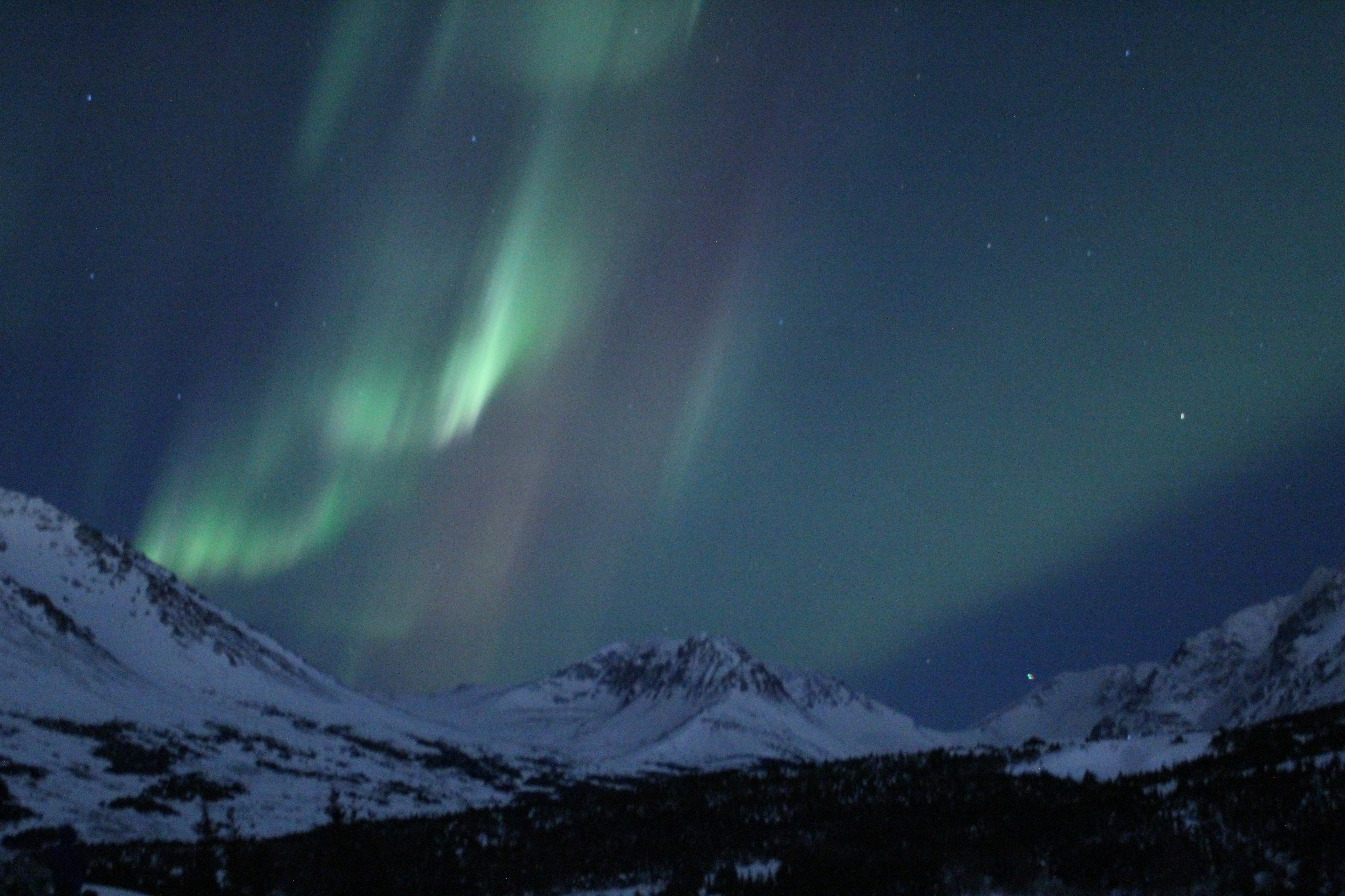 Aurora