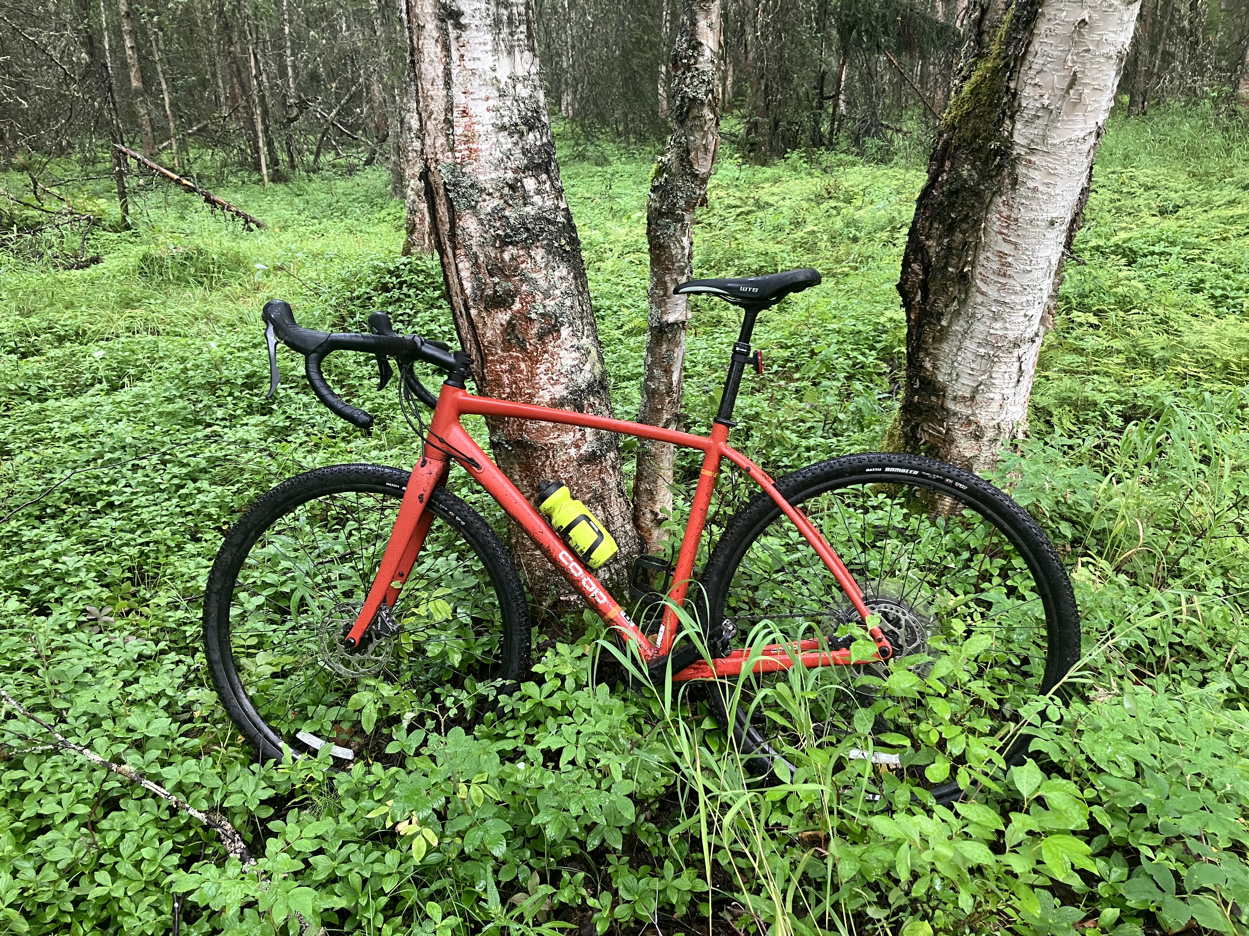 New Bike